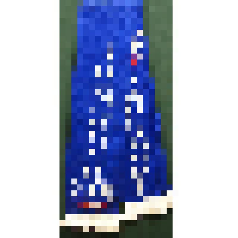 Шарф синий двусторонний с эмблемой "Всероссийская перепись населения 2010"