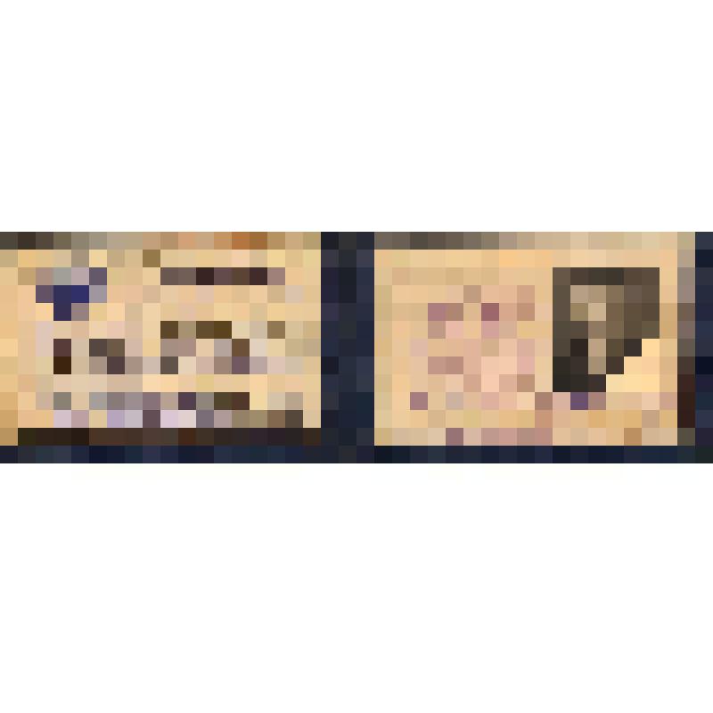 Документ. Депутатский билет № 189 Сапожникова Б.Ф. об избрании депутатом Благовещенского городского Совета депутатов трудящихся