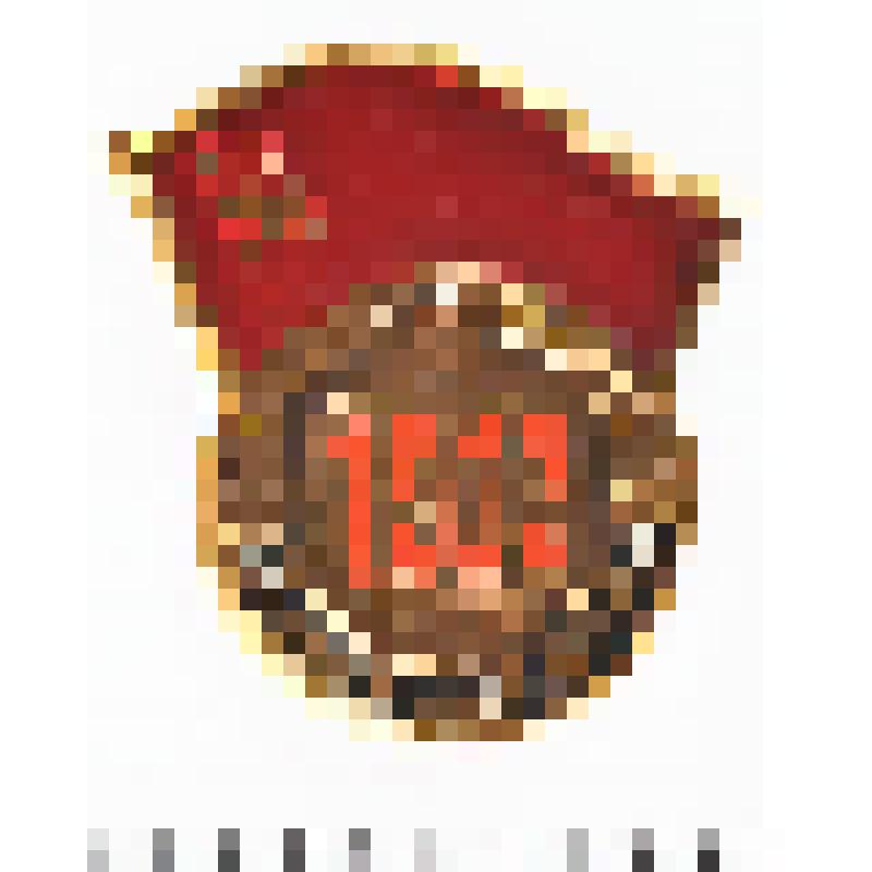 Значок. Слава Октябрю! 1917 г