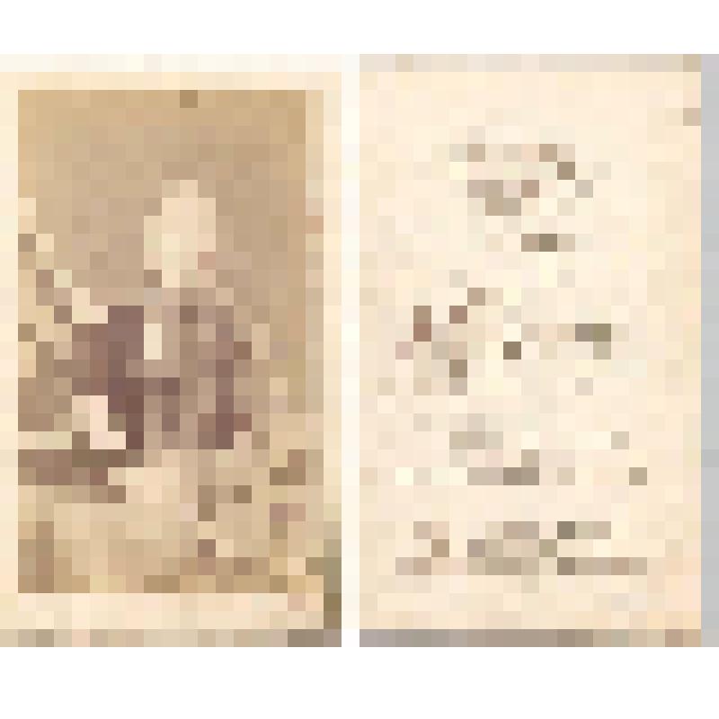 Портрет юноши