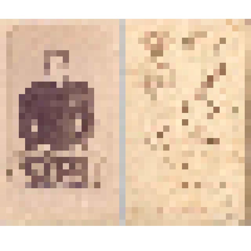 Портрет женщины (классная наставница)