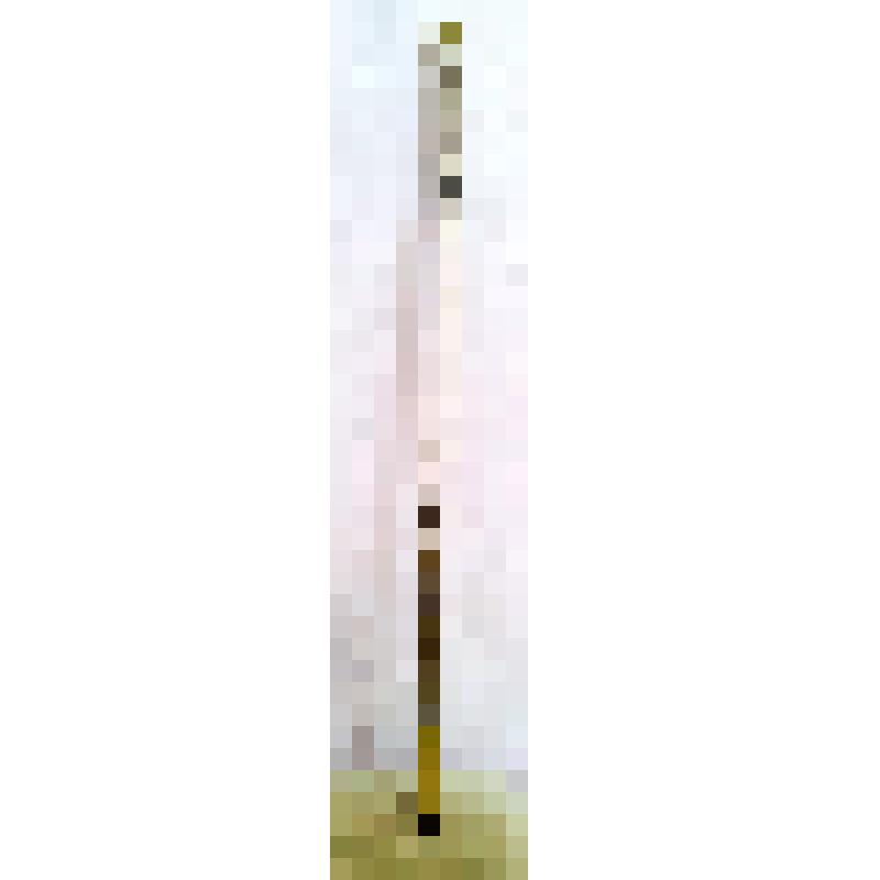 Насека из комплекта атрибутов атаманской власти