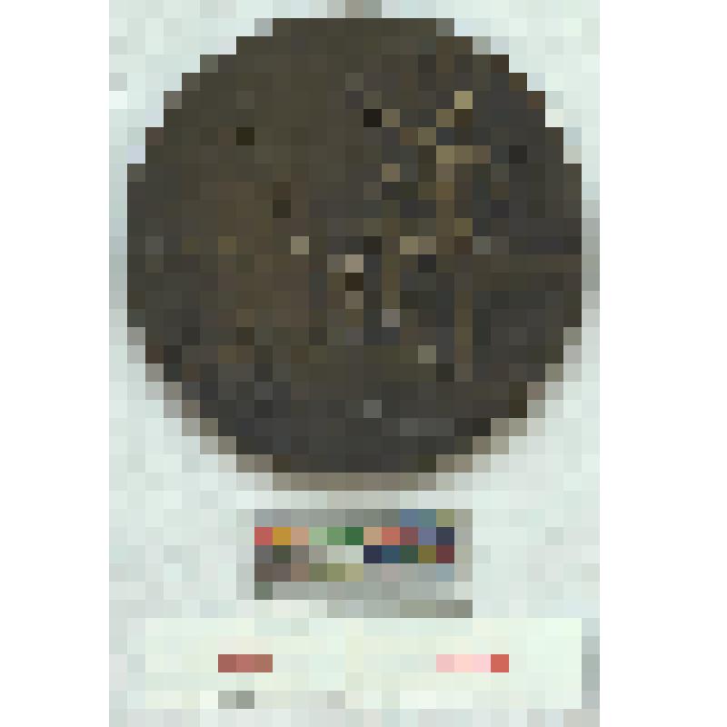 СССР. Медаль. В ознаменование успешного запуска космической ракеты и межпланетной станции