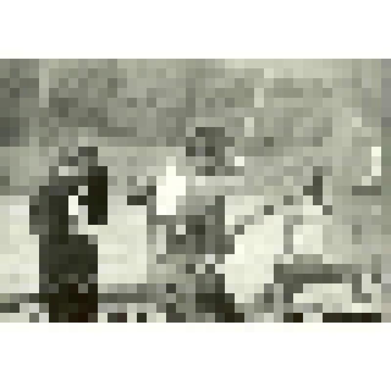 Фотография. Серия из 4-х снимков "Пахарь"