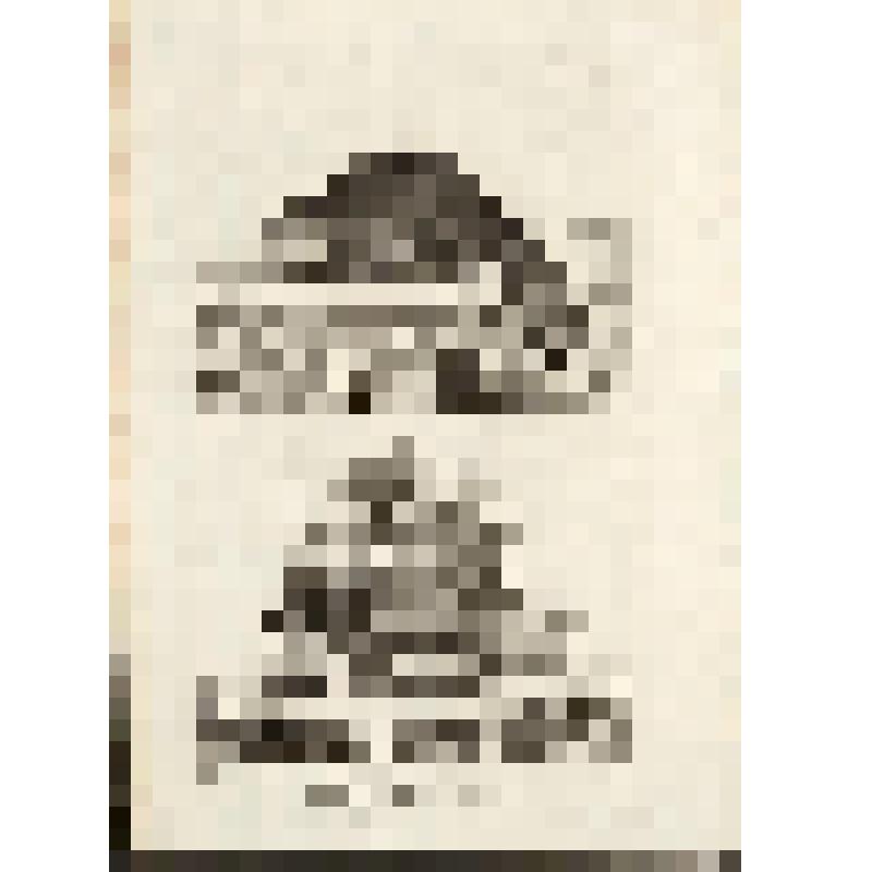 "Histoire Naturelle. Pl. X. Fig. 1. Le Castor. Fig. 2. Le porc-Epic. Antonio Baratti sc. Гравюра