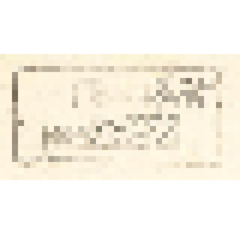 "Histoire Naturelle. Pl. X. Fig. 1. Le Castor. Fig. 2. Le porc-Epic. Antonio Baratti sc. Гравюра