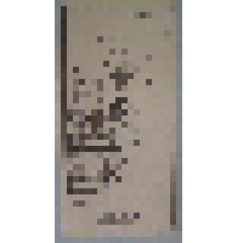 Программа художественная. "На дне" (Режиссер - Григорян Ф. Художник - Вагин Н.). Томск, Театр драмы