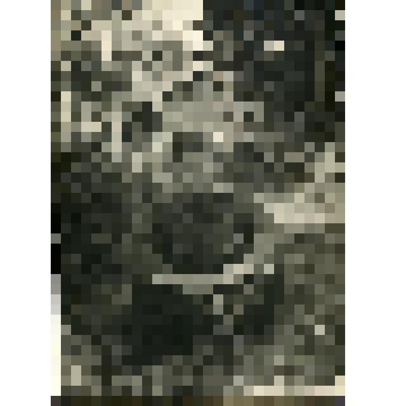 Огрызко В.Т. - лейтенант на показном учении 1-й роты 1-го краснознаменного полка дивизии особого назначения им. Дзержинского. Фотография