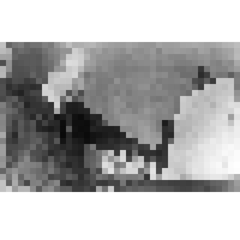 Негатив. Прокофьев С.С. 1891-1953 г.
Советский композитор