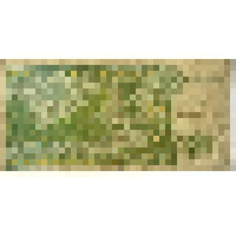 Знак денежный Госбанка Казахстана достоинством три тенге. Казахстан, 1993г