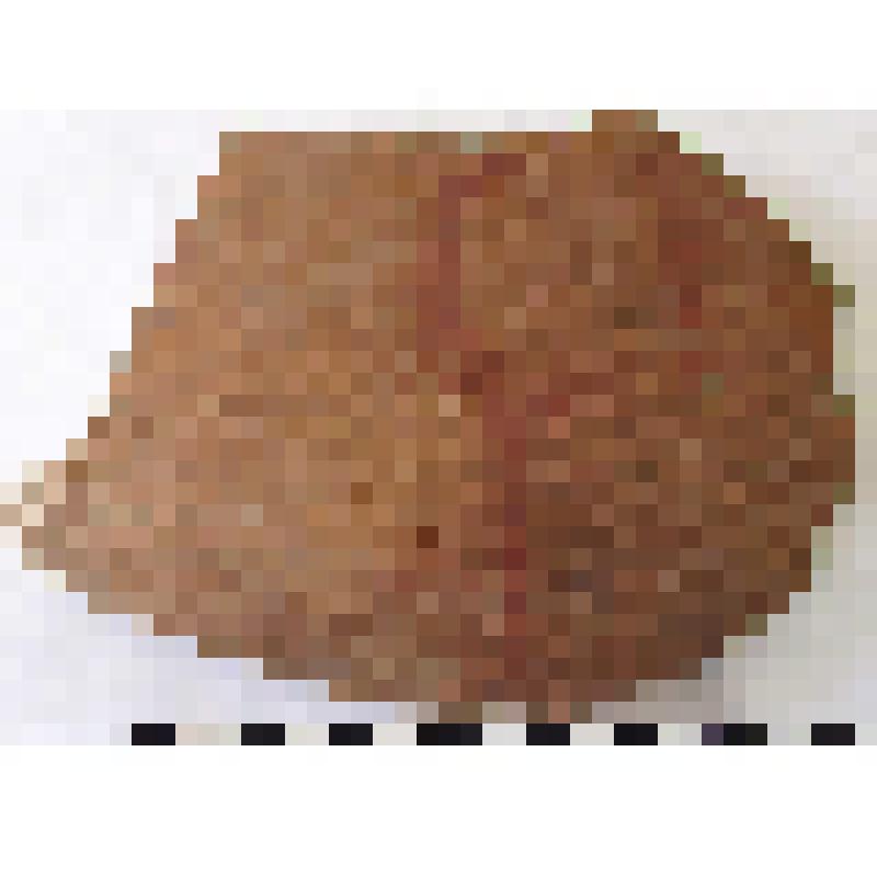 Фрагмент плеча амфоры типа Зеест 80 с дипинто