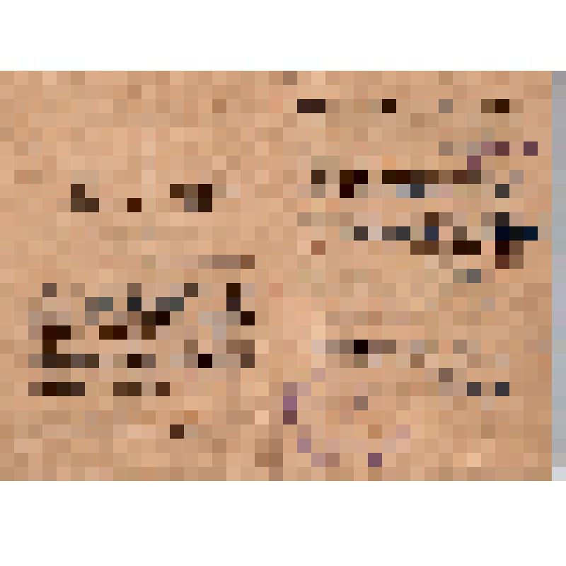 Удостоверение тракториста N20/21500 Накрайникова П