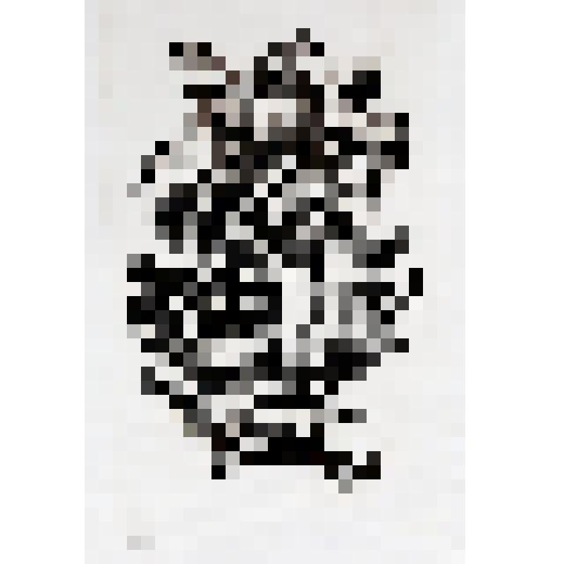 Без названия.2012