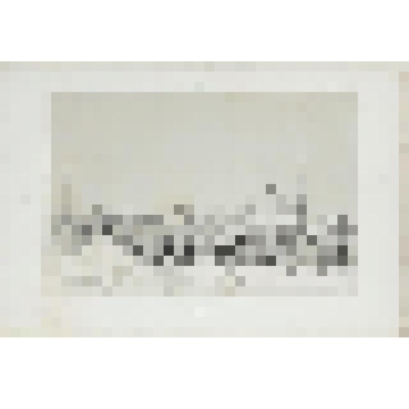 Литография. "Новгород. Крепость и верфи. Вид от дома губернатора."