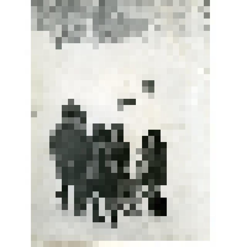 Фотография. История города Дивногорска. Дивногорские горки