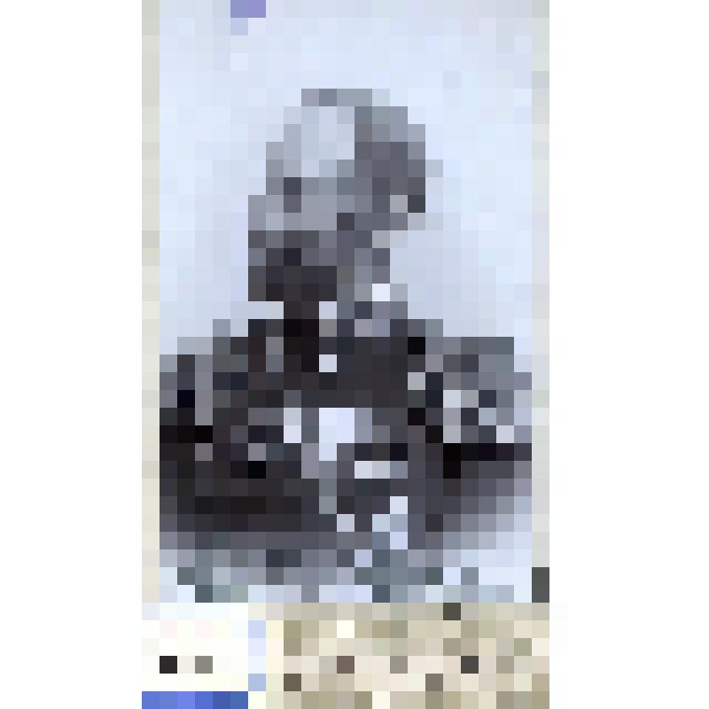 Фотография черно-белая. Фон-Шерфер Н.Н