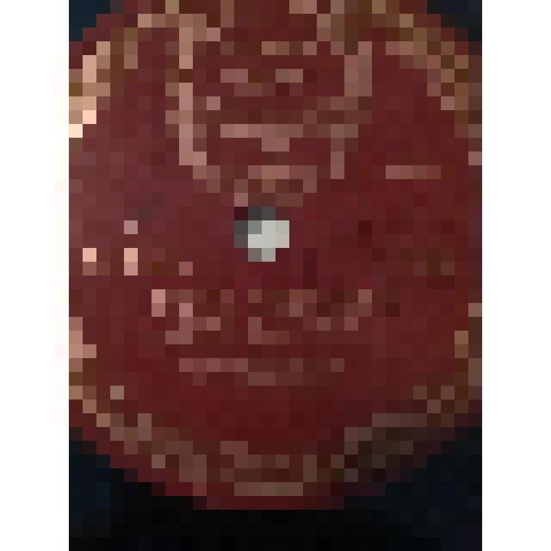 Грампластинка. Сцена из II акта пьесы А. Толстого "Иван Грозный" (продолжение 2 и окончание). Исполняют: Е. Гоголева, Г. Ковров. "Иван Грозный". Москва, Государственный академический Малый театр СССР