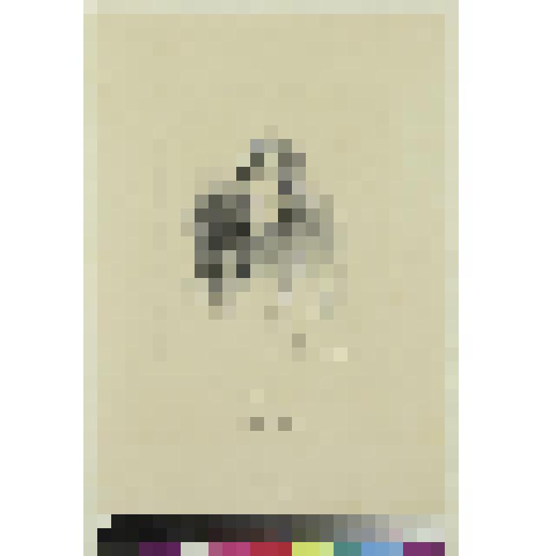 Э.Дюпати, гравюра