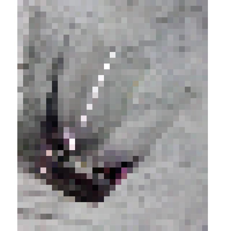 Стопка прозрачного дымчато-розового стекла для крепких спиртных напитков. Из набора, из коллекции документальных, фотографических и вещевых материалов о Миловидовой Инне Борисовне (1929-2009), кандидате биологических наук, преподавателе биофака Саратовско