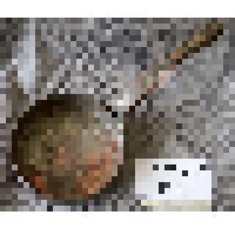 Ковш с кованой орнаментированной ручкой