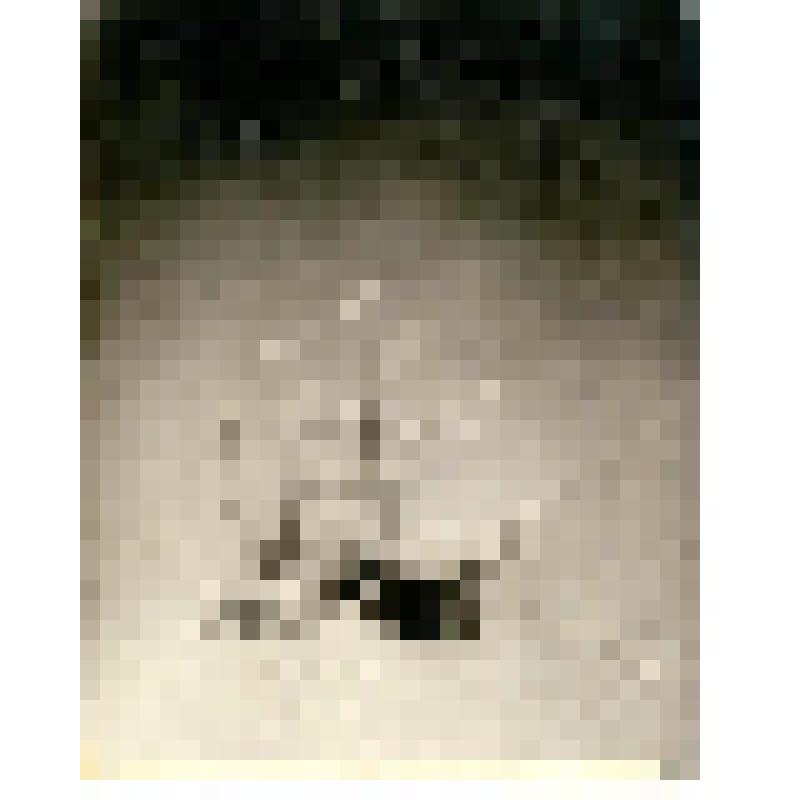 Фотография. Яхта «Заря» Русской полярной экспедиции