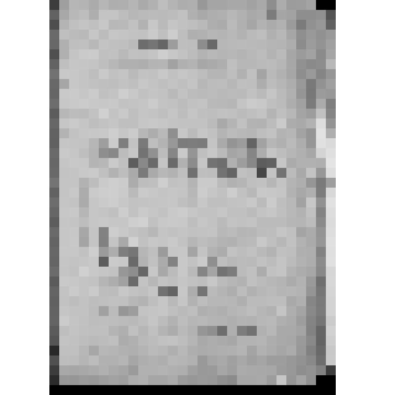 Копия письма Франца Дыман уфимскому губернатору. Сообщает, что татары дер. Туктар Абдрашитовой Альшеевской волости самовольно вырубили в его лесу 113 деревьев и бьют служащих. Просит помощи