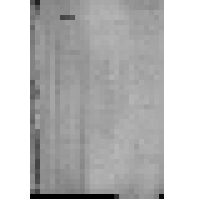 Копия письма Франца Дыман уфимскому губернатору. Сообщает, что татары дер. Туктар Абдрашитовой Альшеевской волости самовольно вырубили в его лесу 113 деревьев и бьют служащих. Просит помощи