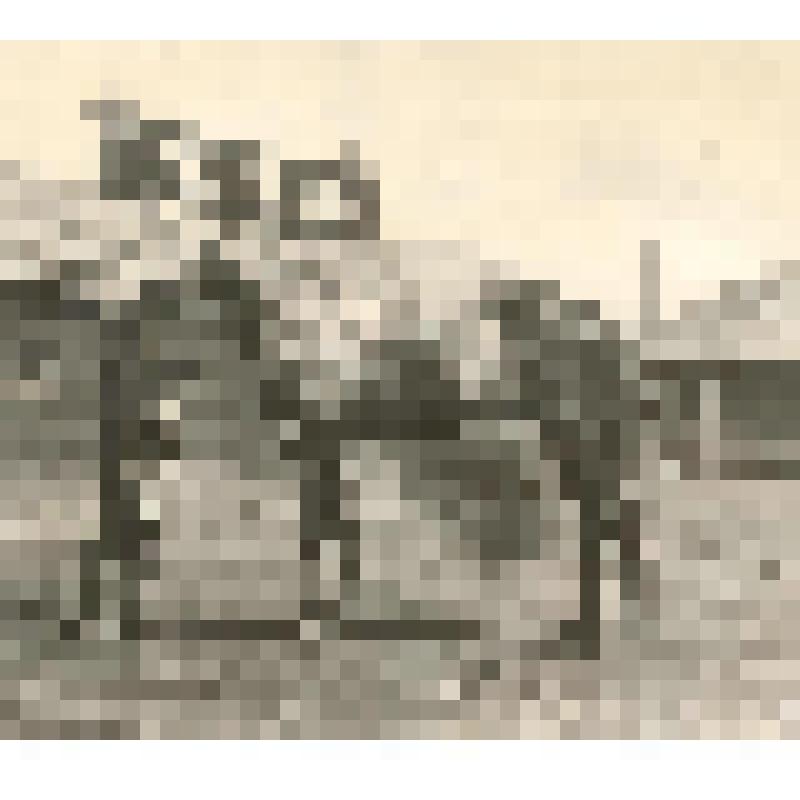 Фотография. Лошадь Поликушка 2.17,3 1909 г. (Корешок - Сказка)