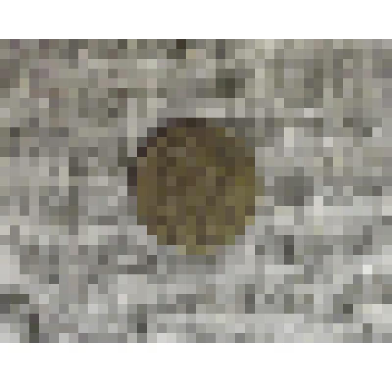 Монета. Три копейки