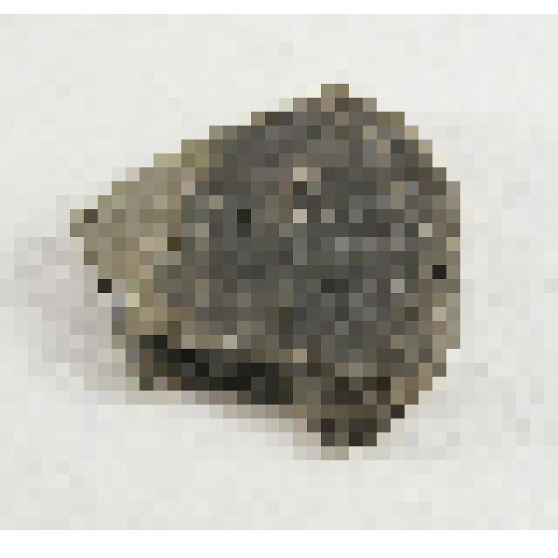 Фрагмент керамики