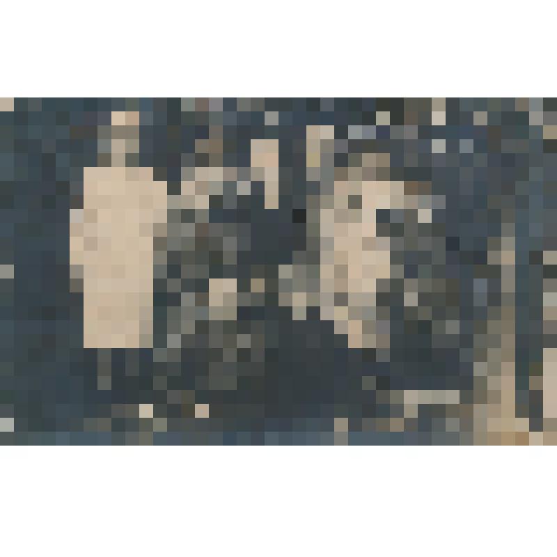 Фото групповое. Предположительно школьники с учительницей