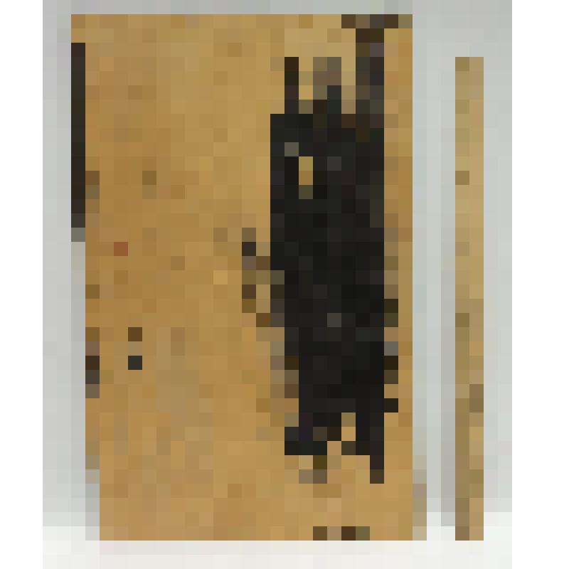 Картина-сувенир Тегенцева Владимира Петровича, ветерана Великой Отечественной войны