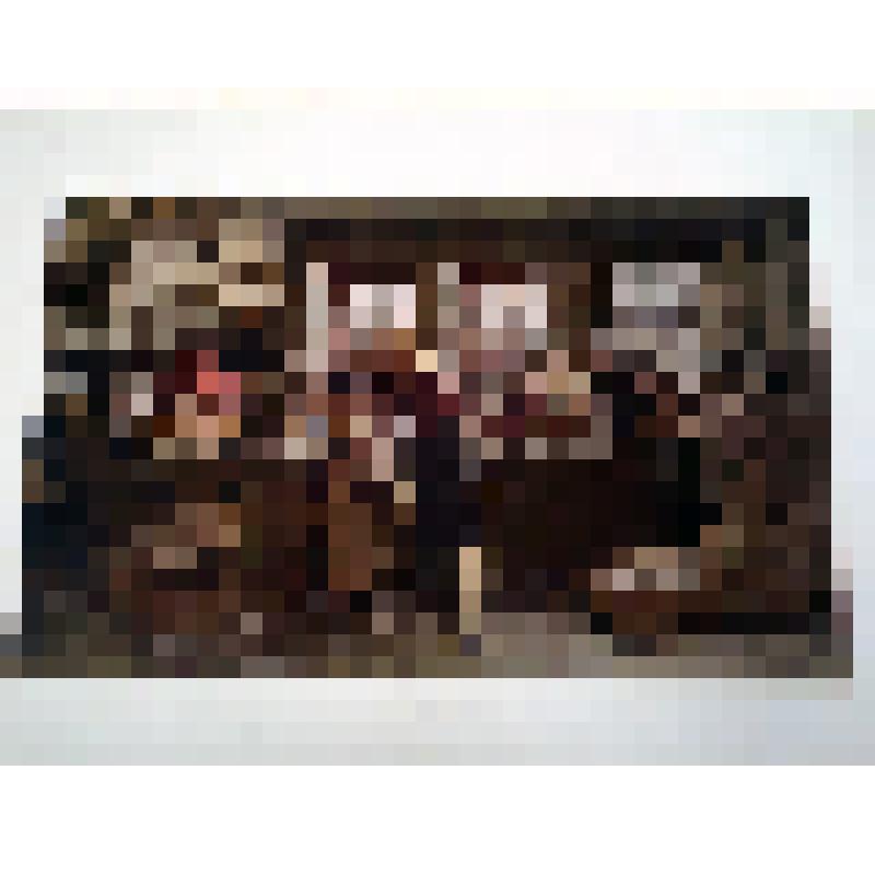 Альбом репродукций «Русский музей», бумага, типографская печать, А.Д.Кившенко "Сортировка перьев"