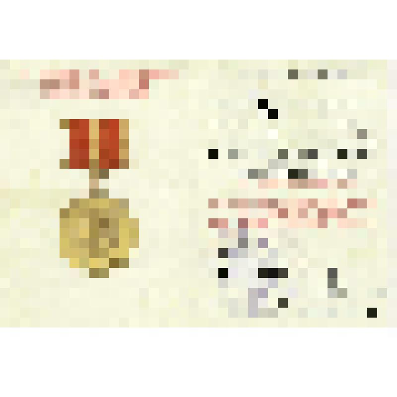 Удостоверение к юбилейной медали «За доблестный труд. В ознаменовании 100 – летия со дня рождения В. И. Ленина» Куликова Виктора Владимировича от 10/IV 1970 г