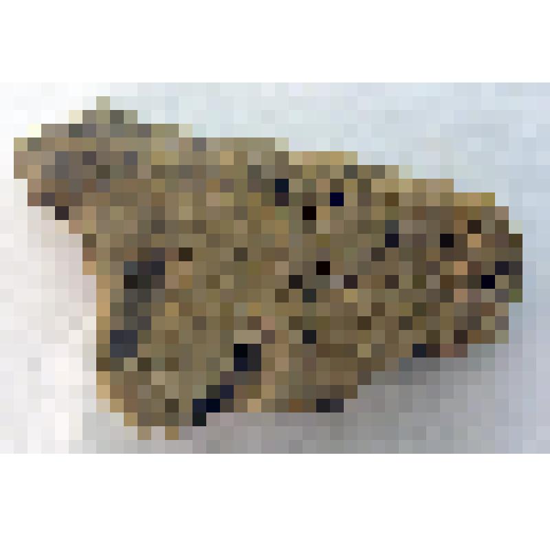 Фрагмент стенки сосуда