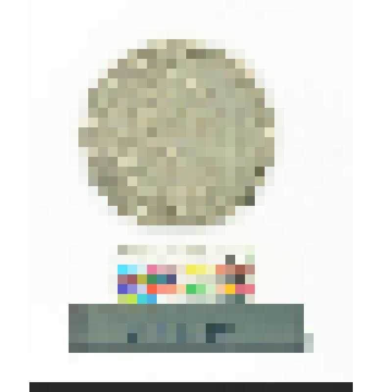 Монета. Петр II. Рубль. 1728 г