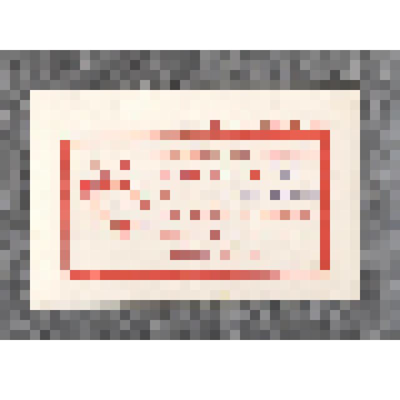 Пропуск для входа на площадь Революции в день 7 ноября 1981 г