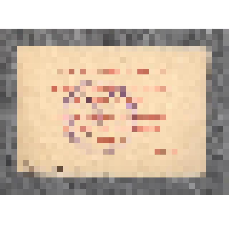 Пропуск для входа на площадь Революции в день 7 ноября 1981 г