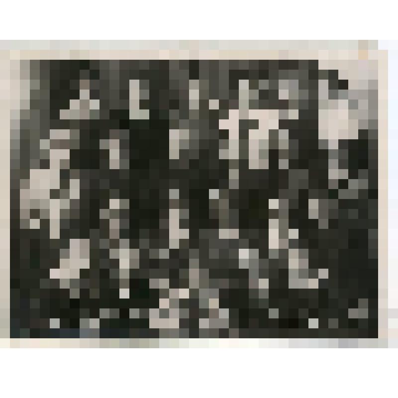 Фотография групповая. Выпуск Ульяновской детской музыкальной школы № 1 (1954-1955 учебный год)