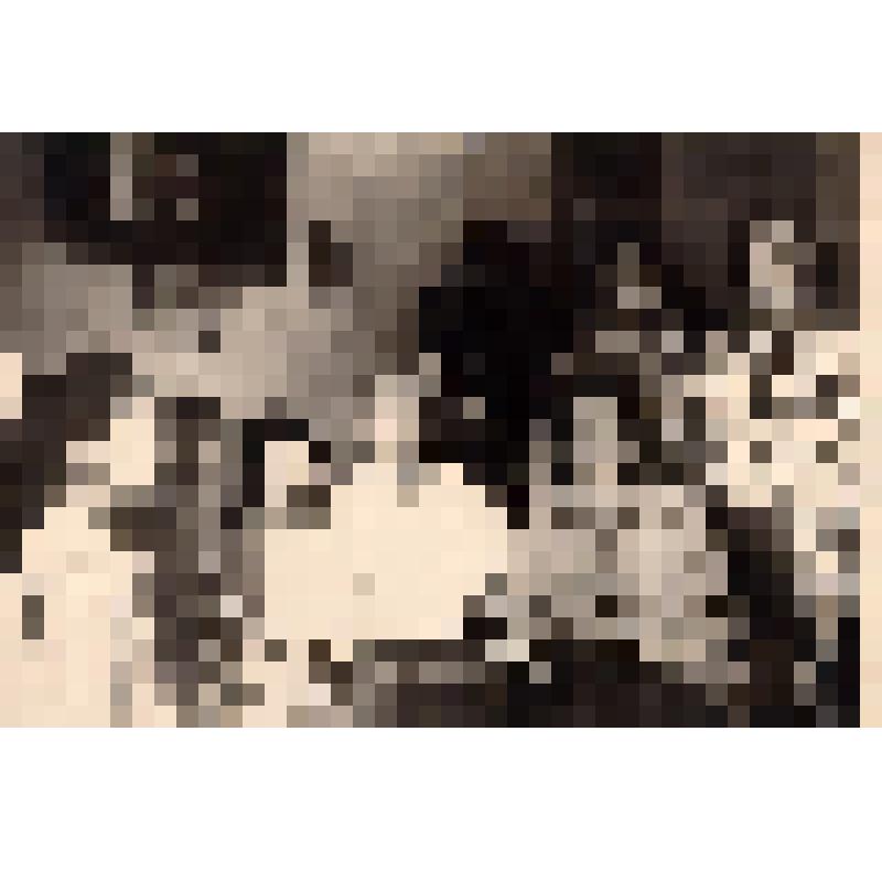 Фотография. Пешкова Е.П. в кругу семьи. Двадцатипятилетняя годовщина со дня смерти М.Горького