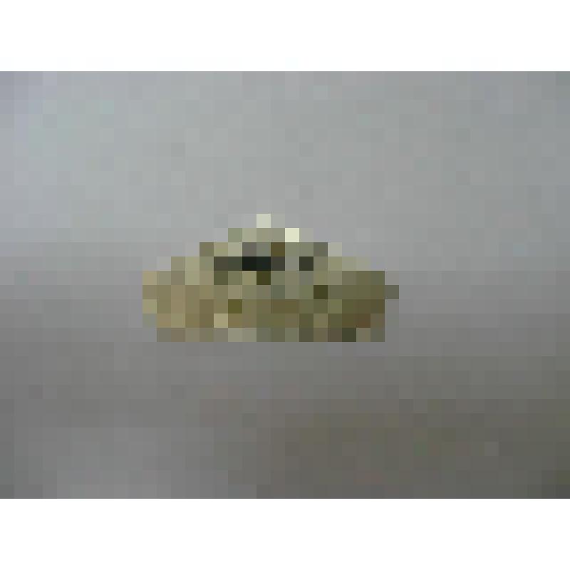 Значок. Турбаза "Солнечная" на полуострове Таймыр. Из коллекции значков и медалей