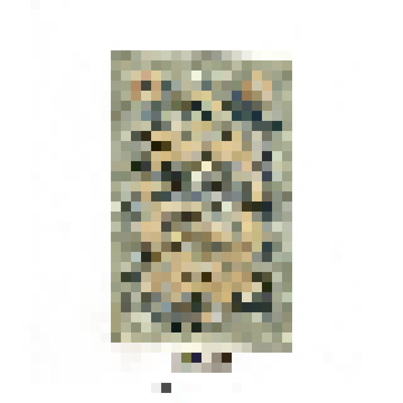 Государственный кредитный билет. 5 рублей