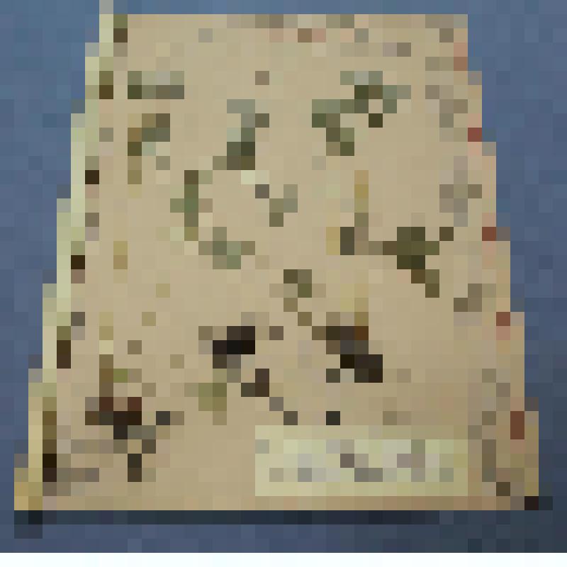 Ботаническая коллекция. Вероника белоцветная, на гербарном листе, Красноярский край, Ермаковский район,село Григорьевка, гора Сохатик. Geraiaceae Geranium albiflorum Yeab  Г