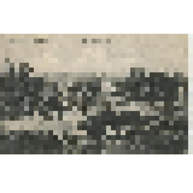 Открытка. Ч.б. Вышний Волочек. Горбатый мост