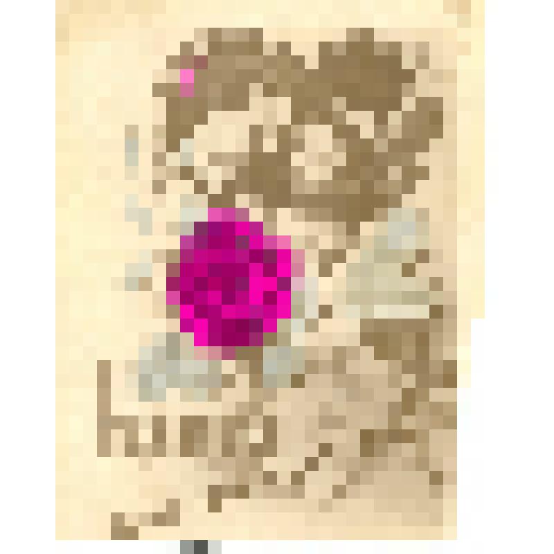 Фотооткрытка поздравительная