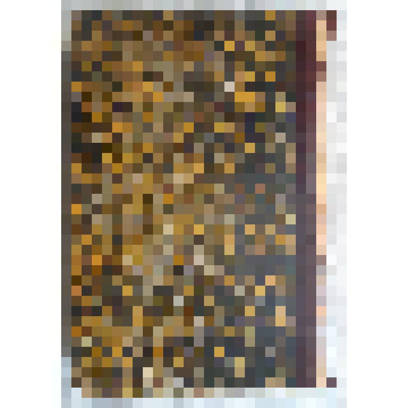 Журнал. Вестник Европы: журнал истории, политики, литературы / Издатель и редактор М. Стасюлевич. – СПб.: Тип. М. Стасюлевича, 1882. – Т. 4. Кн. 7. Июль. Кн. 8. Август. – 852 с