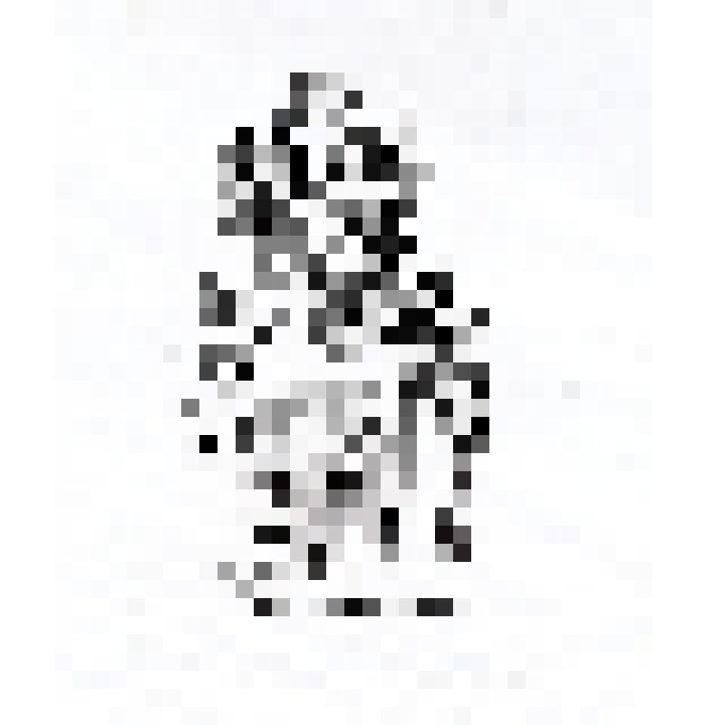 EX LIBRIS KOPERNIKANA RO NOWOSZEWSKIEGO.2013