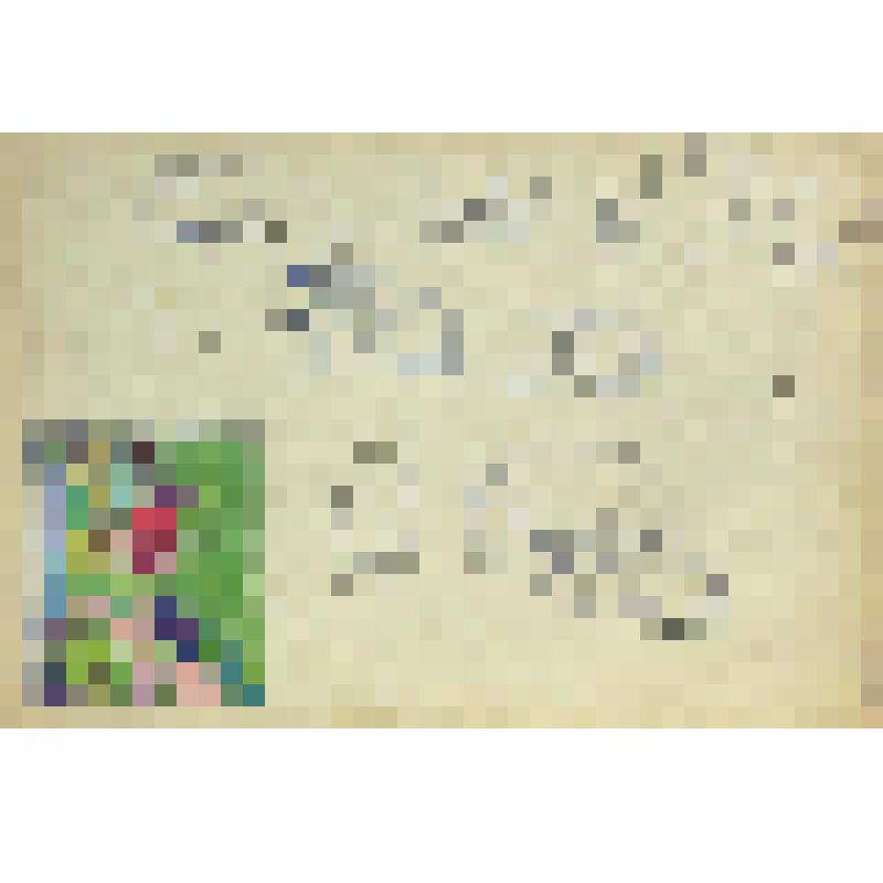 Лист 6. Из серии "Село Велегож. Весна 1965. №1"