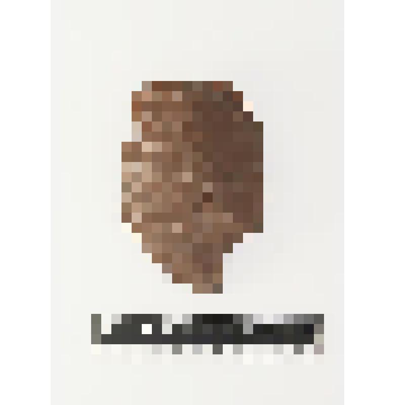 Отщеп с ретушью утилизации. Река Набиль-8