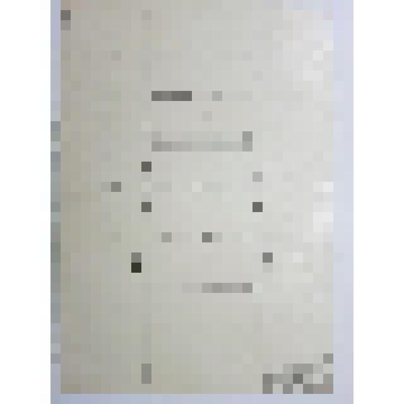 Восточные ворота. Лужецкий монастырь. ХV-ХVII вв. XVII(?) в. Можайск. Лужецкий монастырь. Восточные ворота. Восточные ворота. Дынька. Шаблон. Масштаб 1:1